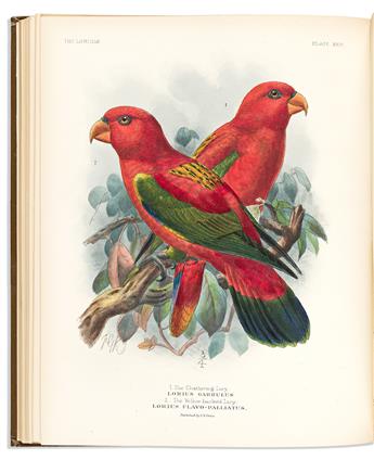 (BIRDS.) George Mivart. A Monograph of the Lories, or Brush-Tongued Parrots, Composing the Family Loriidae.